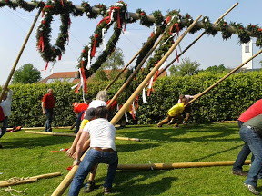 Der Maibaum muss aufgestellt werden