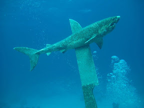 Bericht von Hurghada