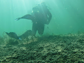 Rettungsübung im Pichlingersee