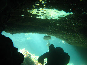Höhlen in Pula, Baron Spongebob und meehr