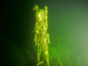 Nachttauchen im Pichlingersee