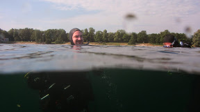 Karpfen im Pichlingersee